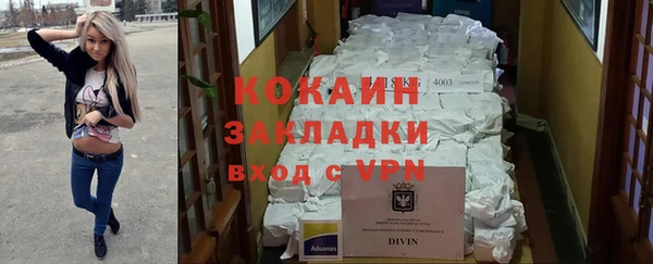 твердый Алзамай