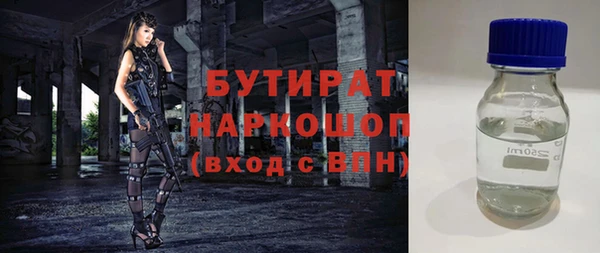 гашик Алексин