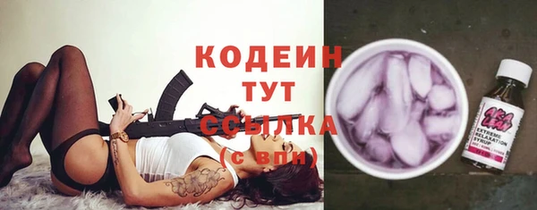 гашик Алексин