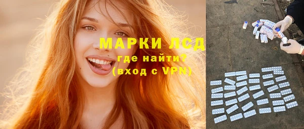 гашик Алексин