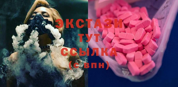 гашик Алексин