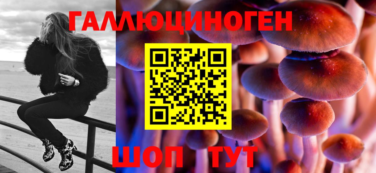 Муравленко  Галлюциногенные грибы Psilocybine cubensis  Вход с VPN 
