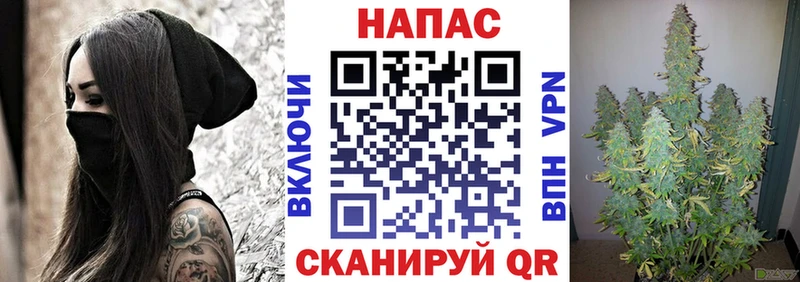 сколько стоит  Муравленко  Марихуана Amnesia 